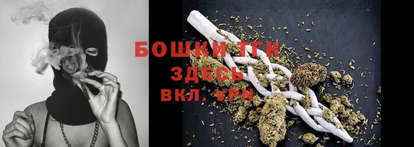 прущая мука Арсеньев