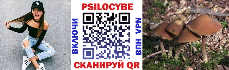 Псилоцибиновые грибы MAGIC MUSHROOMS  закладки  Тарко-Сале 