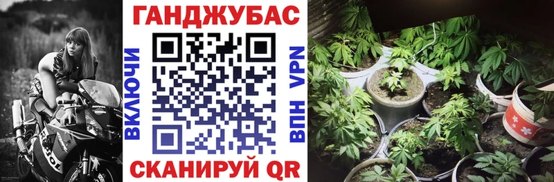 где можно купить   Тарко-Сале  Марихуана Amnesia 